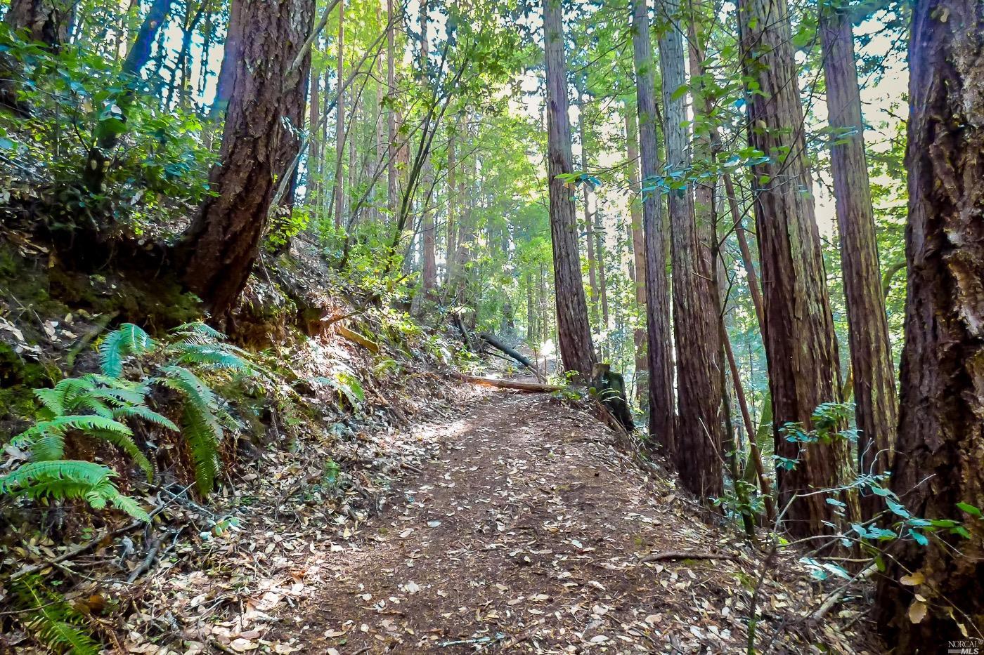 0 Sunset Dr, Anchor Bay, CA 95445 MLS 322103581 Coldwell Banker