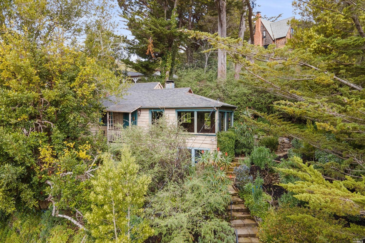 119 Cornelia Ave, Mill Valley, CA 94941 MLS 323018796 Coldwell Banker