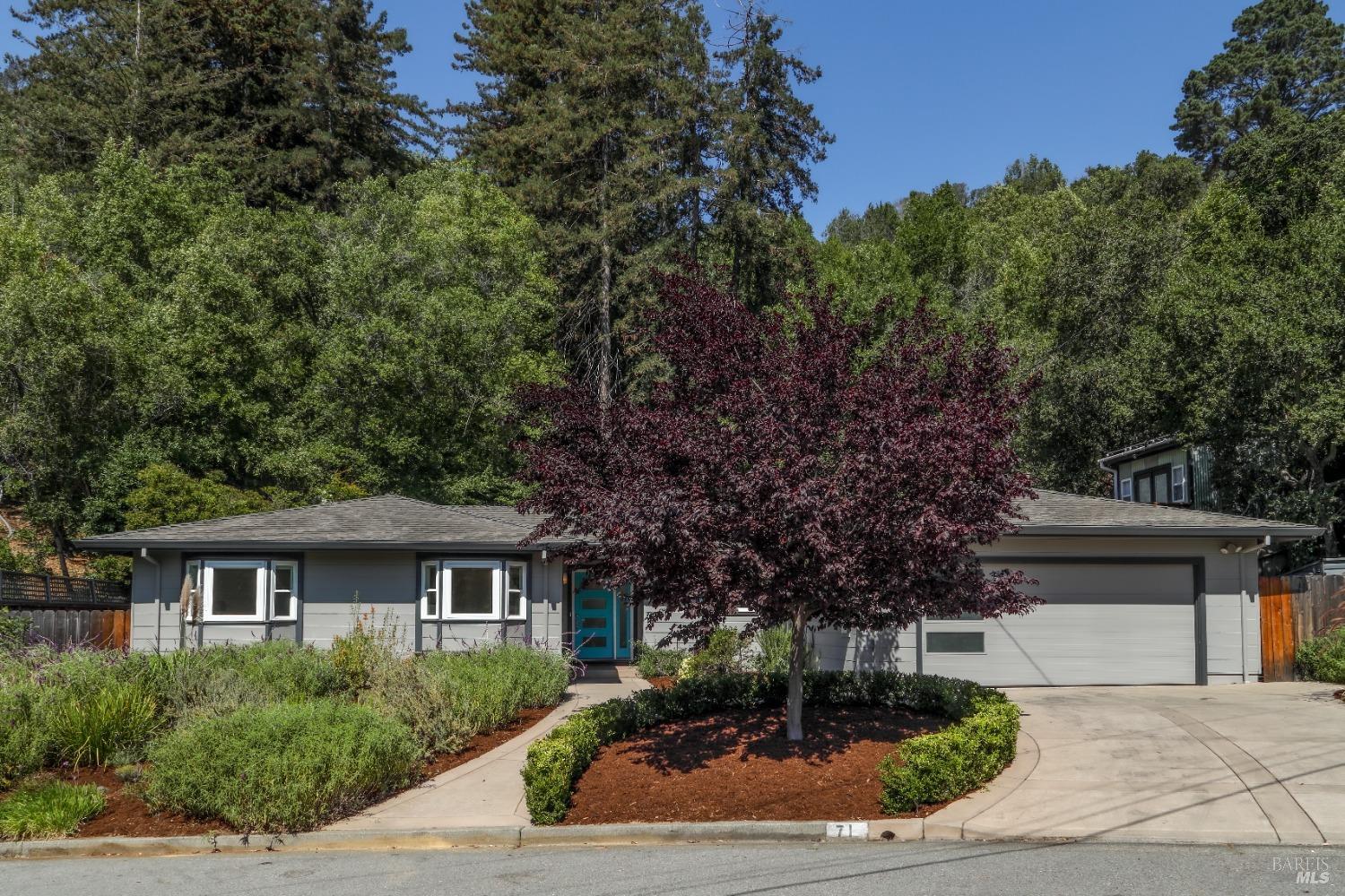 71 Convent Ct San Rafael CA 94901 MLS 323909592 Coldwell Banker 71 Convent Ct San Rafael CA 94901 MLS 323909592 Coldwell Banker