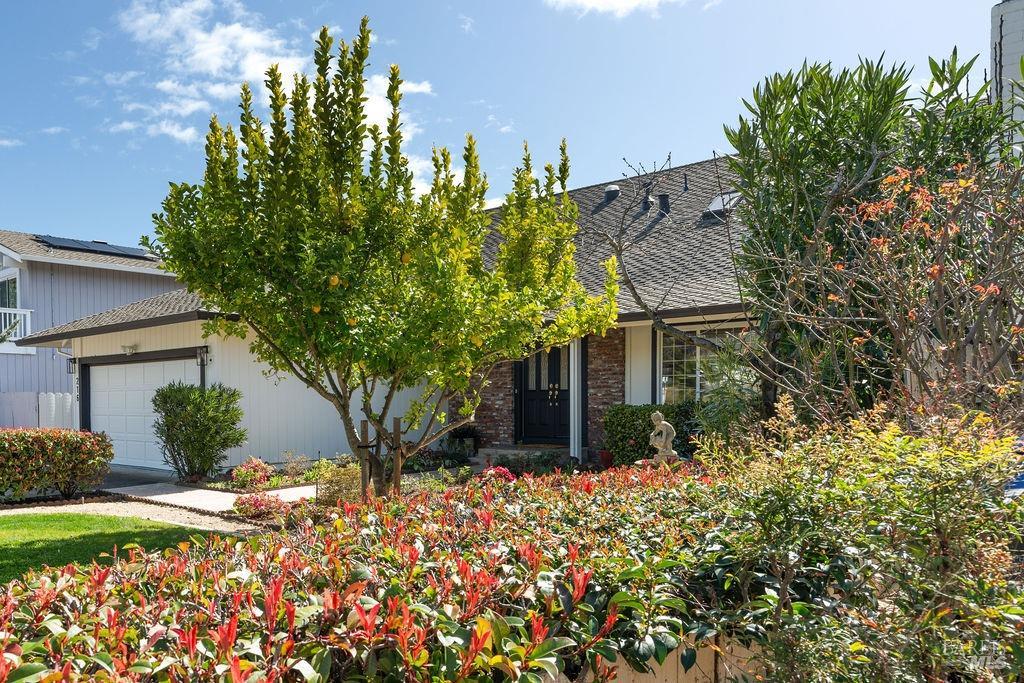 216 San Marin Dr, Novato, CA 94945 MLS 324013344 Coldwell Banker