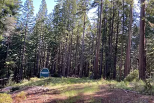 22206 Umland Cir, Jenner, CA 95450 - Photo 1