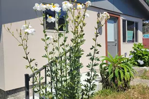 340 Main St, Point Arena, CA 95468 - Photo 1