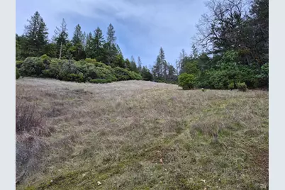 5376 Wild Iris Lane, Willits, CA 95490 - Photo 1