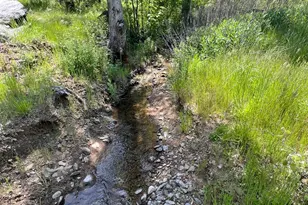 12609 Elk Mountain Rd, Upper Lake, CA 95485 - Photo 1