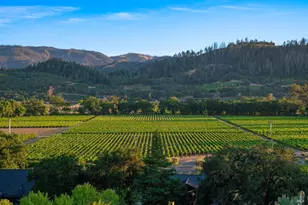 2930 Silverado Trail, Saint Helena, CA 94574 - Photo 1