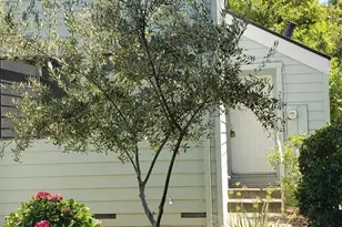 224 Courtyards, Windsor, CA 95492 - Photo 1