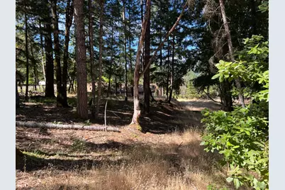 1495 Daphne Drive, Willits, CA 95490 - Photo 1