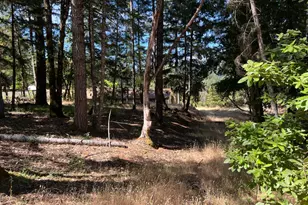 1495 Daphne Dr, Willits, CA 95490 - Photo 1