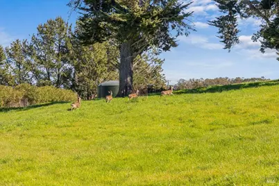 511 Fairview Court, Petaluma, CA 94952 - Photo 1