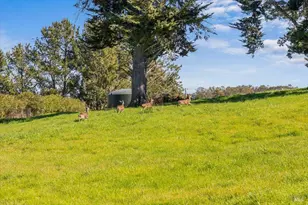 511 Fairview Ct, Petaluma, CA 94952 - Photo 1