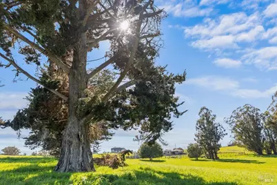 549 Fairview Court, Petaluma, CA 94952 - Photo 1