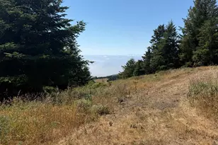 8821 S Highway 1, Elk, CA 95432 - Photo 1