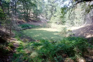 3600 Blackhawk Dr, Willits, CA 95490 - Photo 1