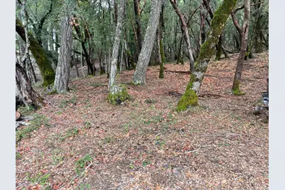 1832 Tulip Place, Willits, CA 95490 - Photo 1