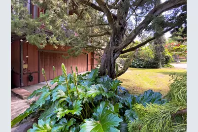 14600 Drake Road, Guerneville, CA 95446 - Photo 1