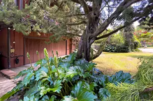 14600 Drake Rd, Guerneville, CA 95446 - Photo 1