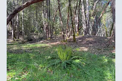 1666 Alcott Place, Willits, CA 95490 - Photo 1