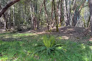 1666 Alcott Pl, Willits, CA 95490 - Photo 1