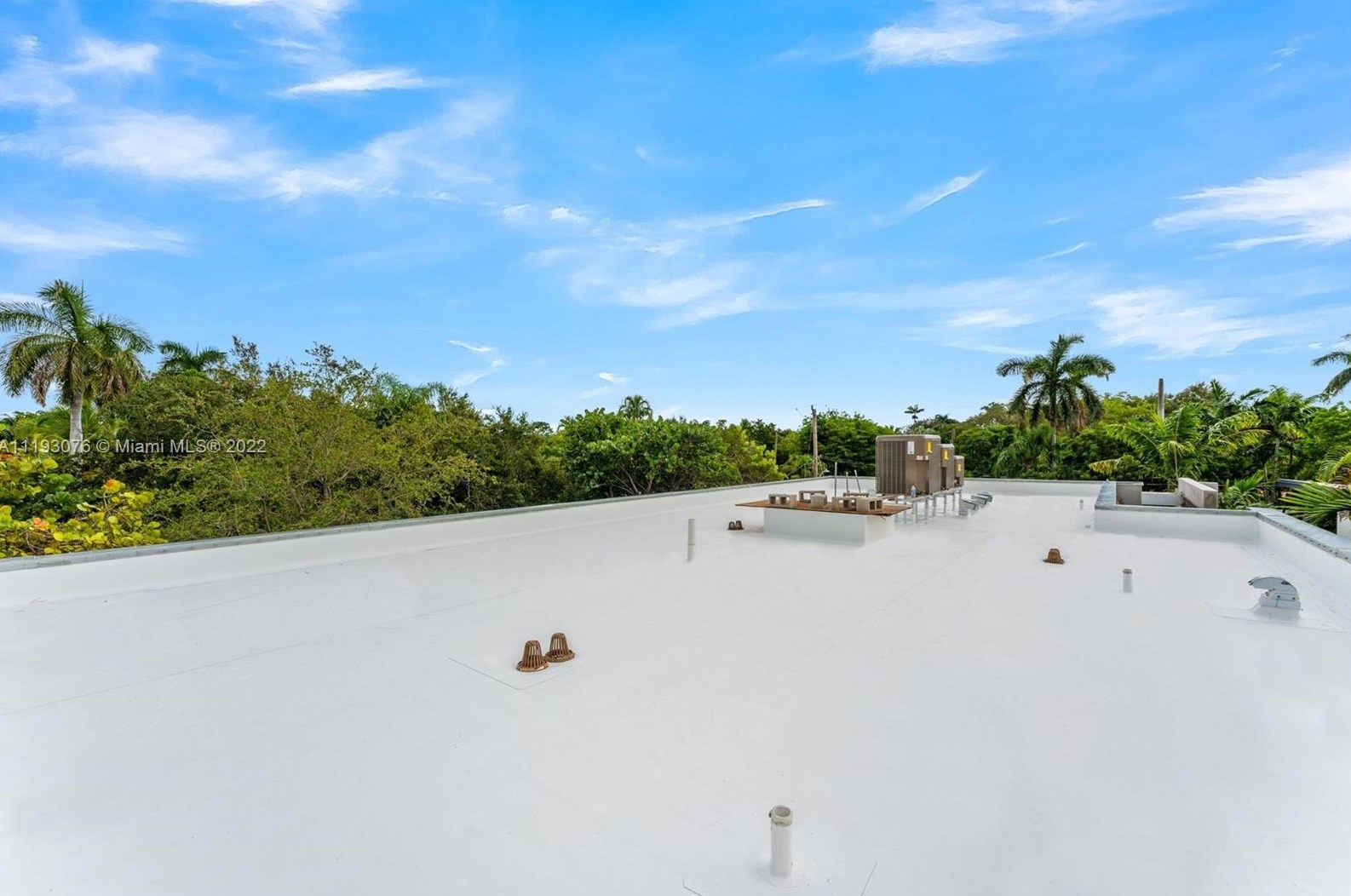 2459 Lincoln Ave, Miami FL  33133-3963 exterior