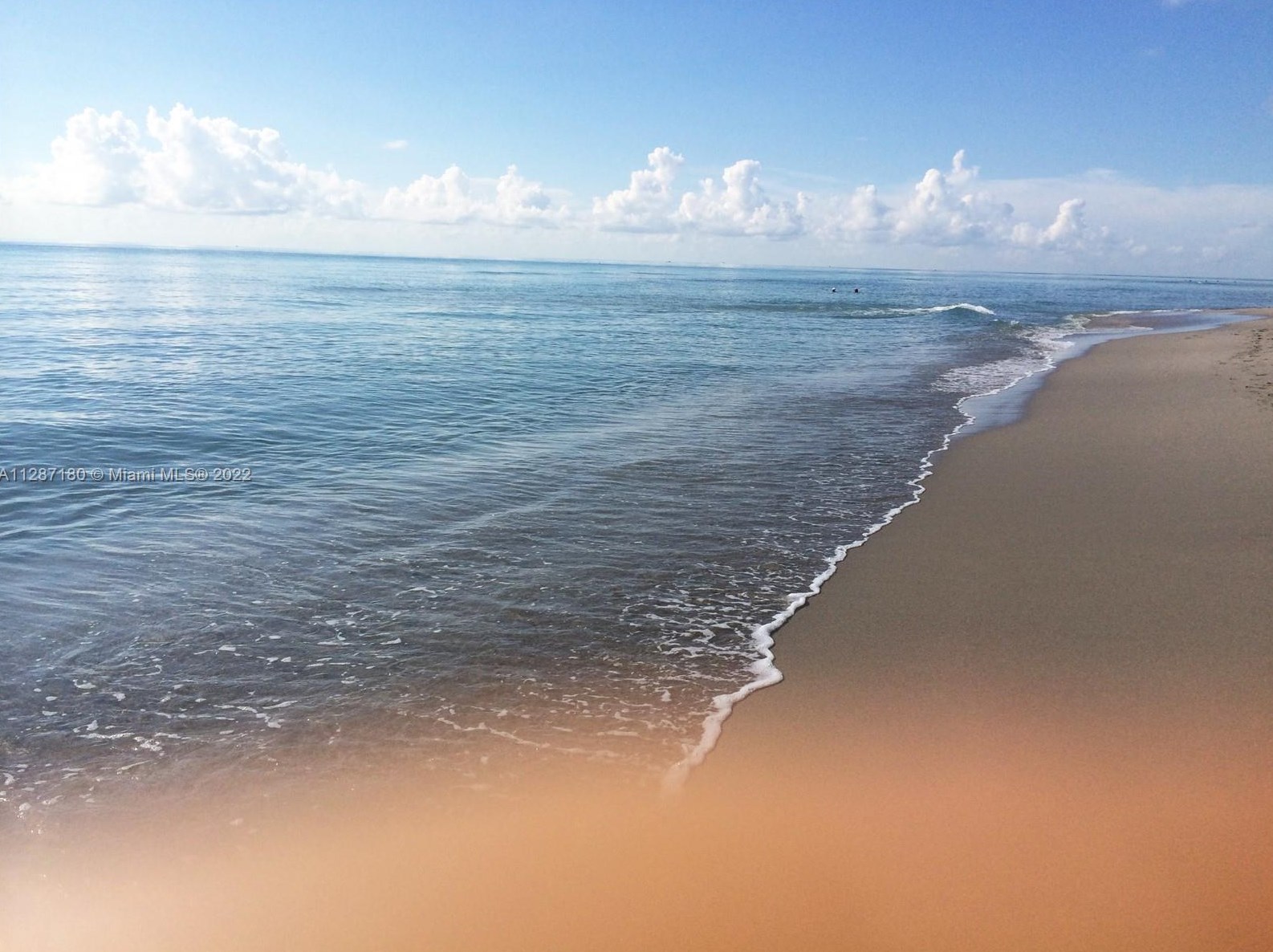 1400 Ocean Dr, Hollywood FL  33019-2381 exterior