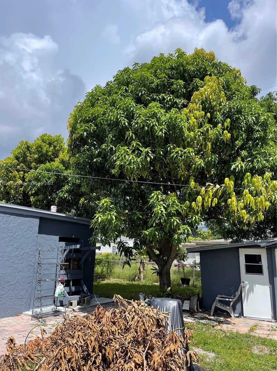 3431 172 Ter, Miami FL 33056-4166 exterior