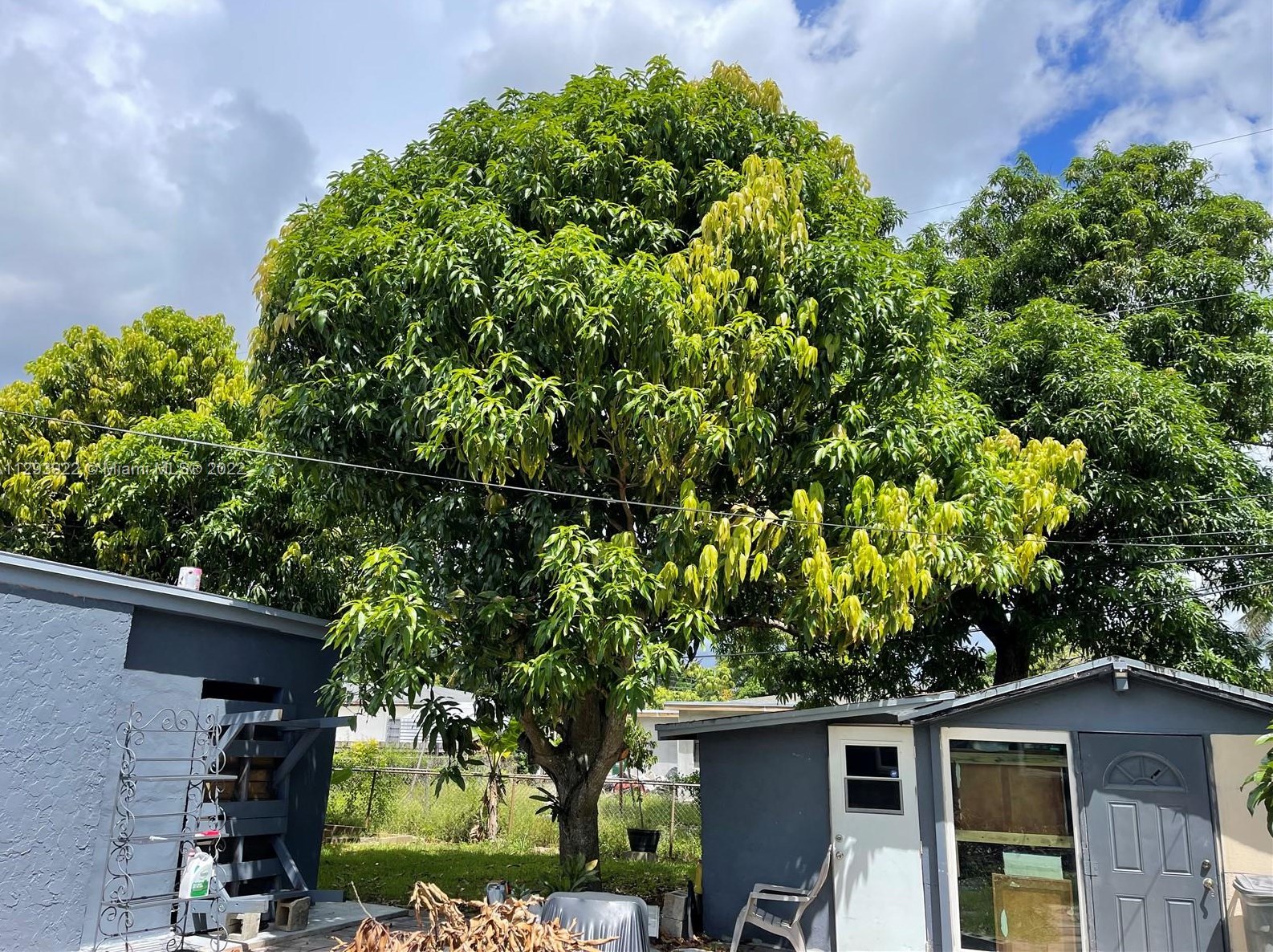 3431 172 Ter, Miami FL 33056-4166 exterior