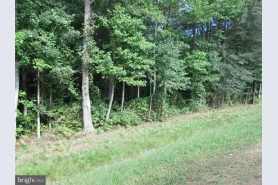 Rte 313 Road, Federalsburg, MD 21632 - Photo 1