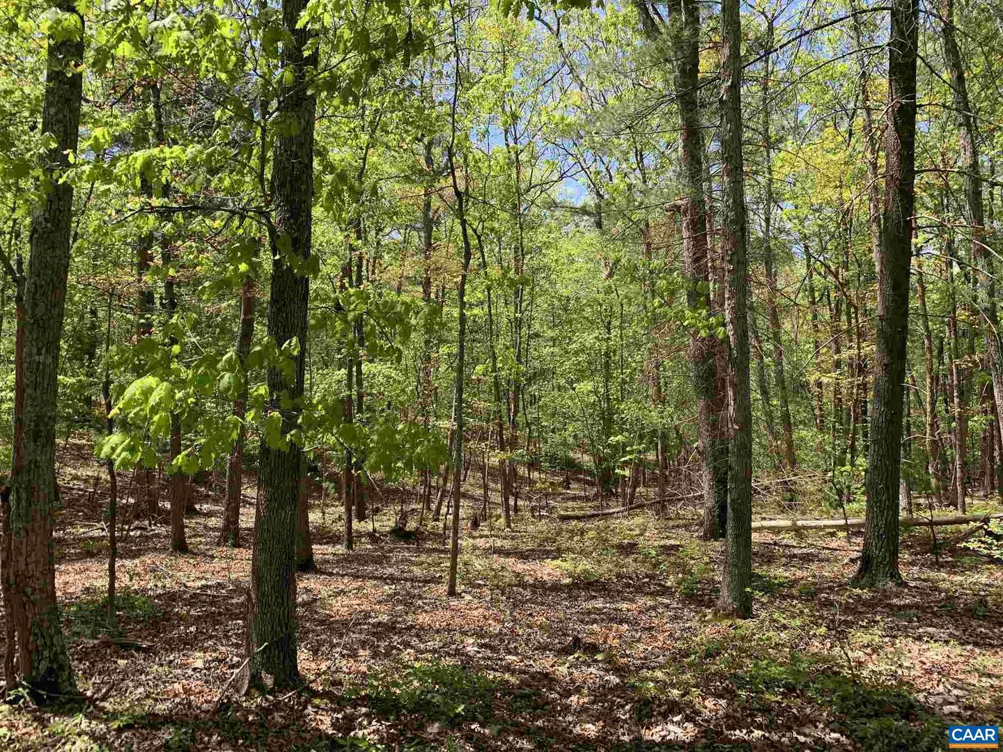 000 Campbell Rd, Keswick, VA 22947 MLS 623757 Coldwell Banker