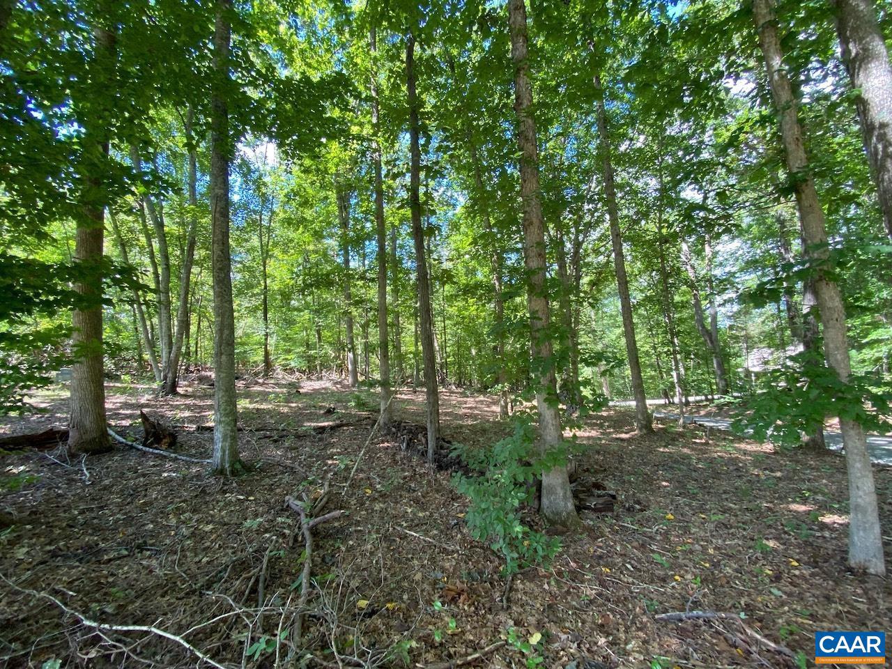 Rockfish River Rd, Schuyler, VA 22969 MLS 634654 Coldwell Banker