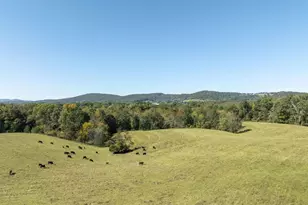 14560 Madison Run Rd, Gordonsville, VA 22942 - Photo 1