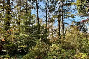 2029 Spottswood Rd, Charlottesville, VA 22901 - Photo 1