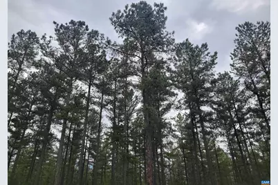 5 Piney Mountain Dr #5, Palmyra, VA 22963 - Photo 1