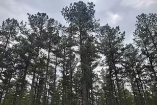 5 Piney Mountain Dr, Palmyra, VA 22963 - Photo 1