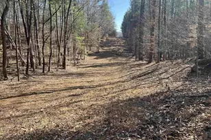 Tbd Buddys Pl Ln, Earlysville, VA 22936 - Photo 1