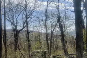 Lot 17 Woods Gap Rd, Crozet, VA 22932 - Photo 1