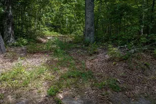 Dogwood Dr, Palmyra, VA 22963 - Photo 1