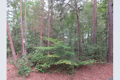 10 Englewood Dr #199, Palmyra, VA 22963 - Photo 1