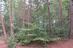 10 Englewood Dr, Palmyra, VA 22963 - Photo 1