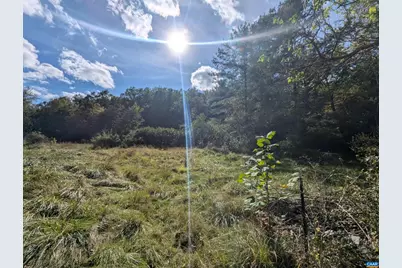 1376 Calf Mountain Rd, Waynesboro, VA 22980 - Photo 1