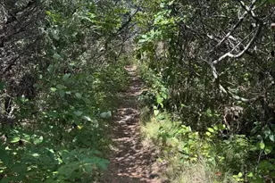 Bend Of River Ln, Louisa, VA 23093 - Photo 1