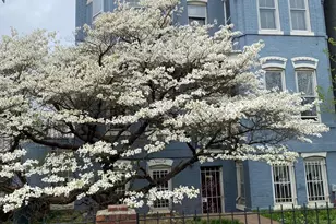 656 12th St NE, Washington, DC 20002 - Photo 1