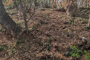 2029 NE 2nd NE, Washington, DC 20002 - Photo 1