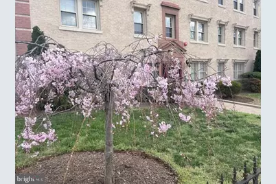 2625 3rd Street NE #105, Washington, DC 20002 - Photo 1