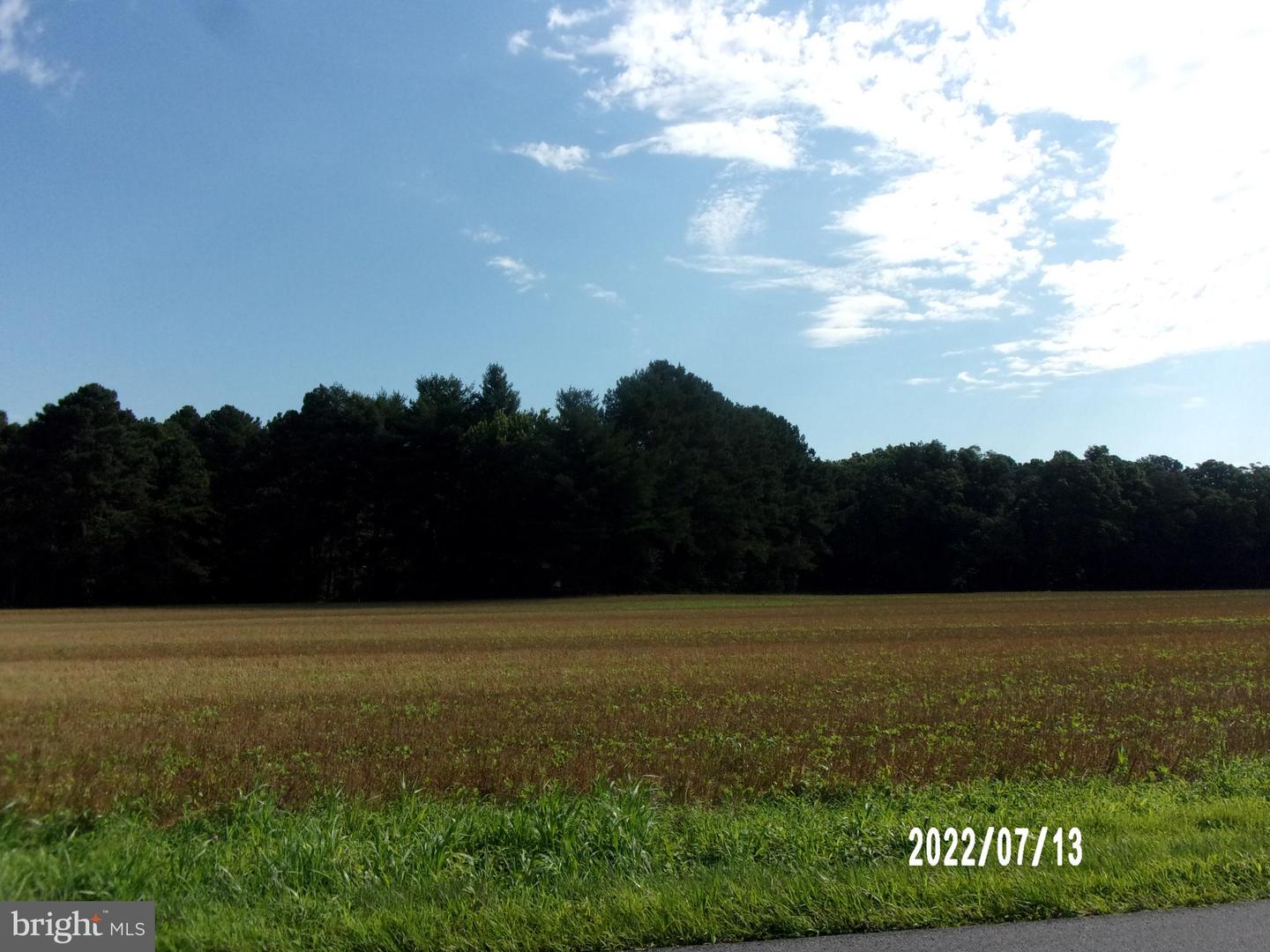 East Piney Grove Rd, DE 19947 MLS DESU2031146 Coldwell