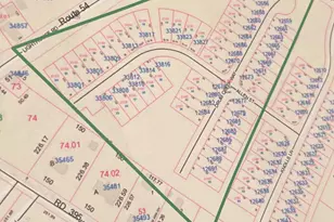 12687 Drum Crk Wy, Selbyville, DE 19975 - Photo 1