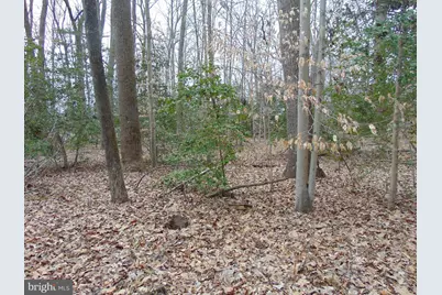 1371 Blue Shirt Road, Lothian, MD 20711 - Photo 1