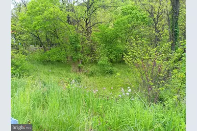 McMullen Hwy, Cresaptown, MD 21502 - Photo 1