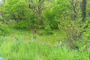 McMullen Hwy, Cresaptown, MD 21502 - Photo 1