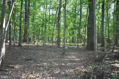 0 Cedar Grove Road, Sparks Glencoe, MD 21152 - Photo 1