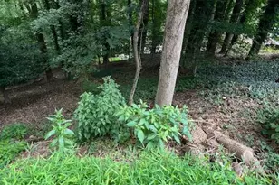 Miller Rd, Parkton, MD 21120 - Photo 1